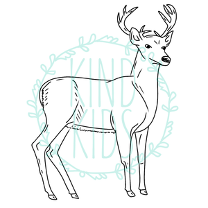 51- Deer